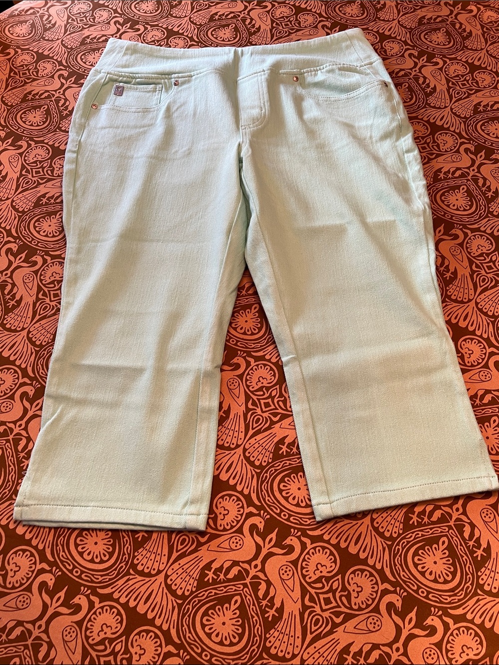Belle by Kim Gravel Blue/Green Cropped/Capris Jeans
